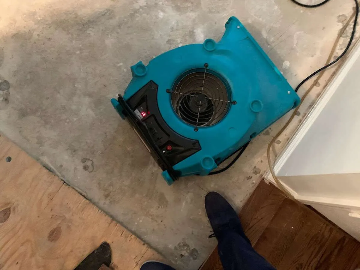 Air mover drying subfloor during Leak Detection & Repair in White House